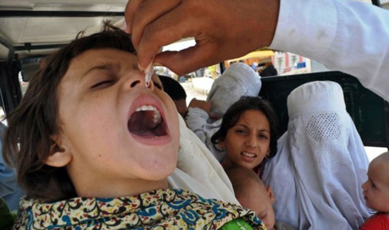 Govt starts Govt starts