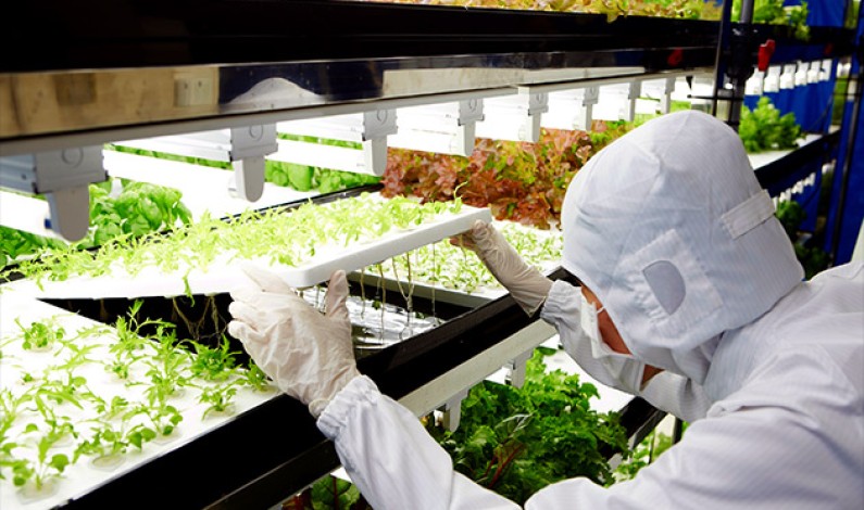 Toshiba joins Toshiba joins