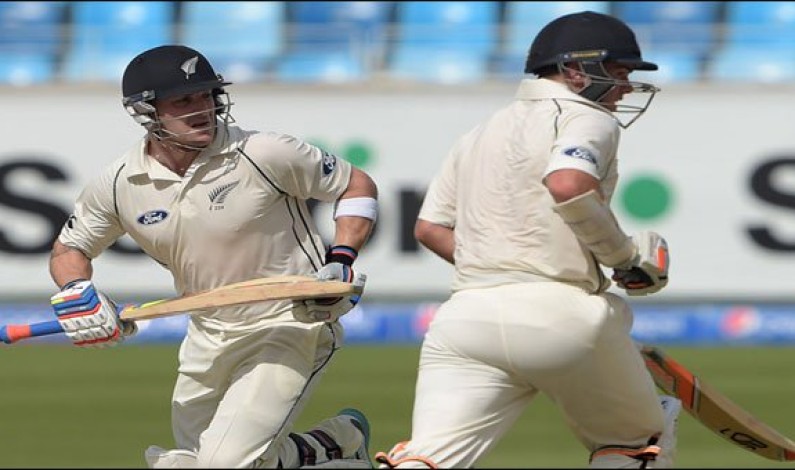 NZ make solid Start NZ make solid Start