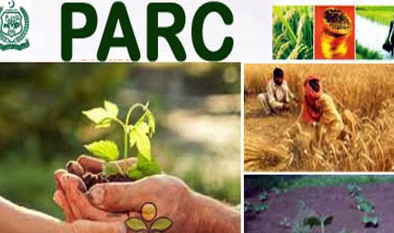 No olive branches for Pakistan? No olive branches for Pakistan?